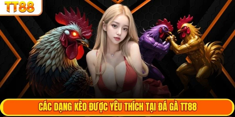 Các dạng kèo được yêu thích tại đá gà TT88