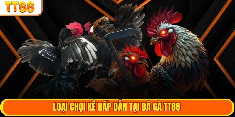 Loại chọi kê hấp dẫn tại đá gà TT88