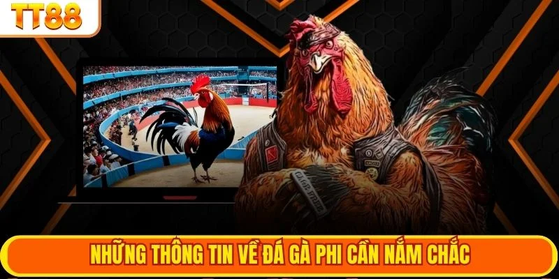 Những thông tin về đá gà phi cần nắm chắc
